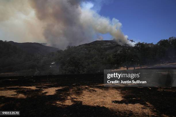 Smoke rises from the County Fire as it burns through dry brush on July 2, 2018 in Guinda, California. The fast moving County Fire, that started on...