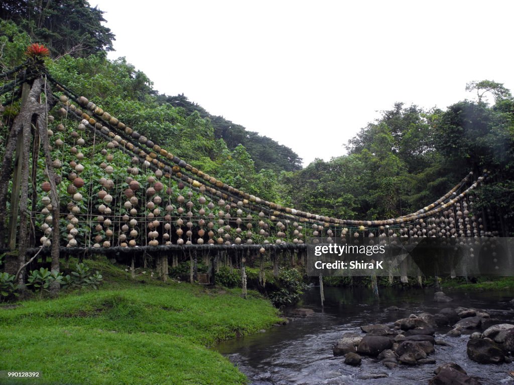Fishing Long Line Bridge Isla Del Coco