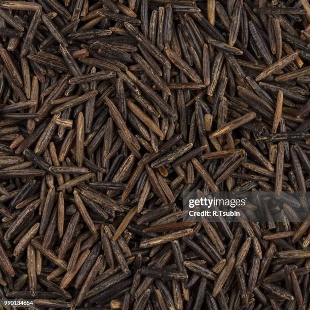 background of black wild rice - close up image - human parainfluenza virus stock pictures, royalty-free photos & images