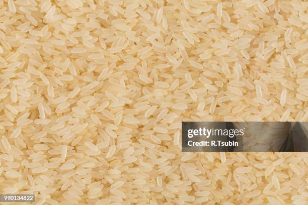 Extra Rice Image 1,034 Rice Cluster Stock Photos, High-Res Pictures, and Images - Getty ...