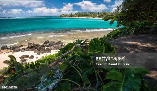ha'ena beach park - ena stock pictures, royalty-free photos & images