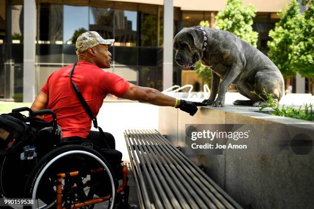 Desert Storm veteran Tony Drees and his service dog Diva, a two year old Italian mastiff, continue training at Skyline Park during their travels from...