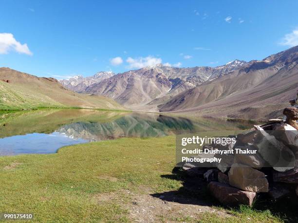 chandra taal lake, spiti valley, himachal pradesh, india. - taal 個照片及圖片檔