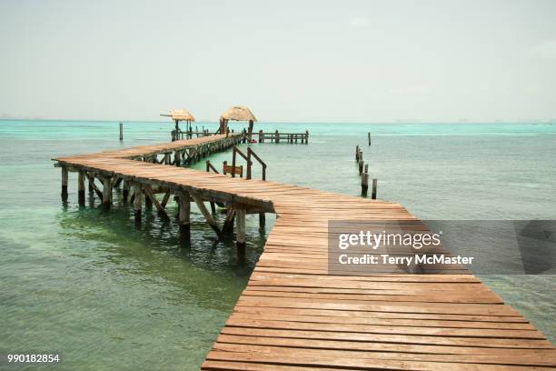 isla mujeres - mcmaster stock pictures, royalty-free photos & images