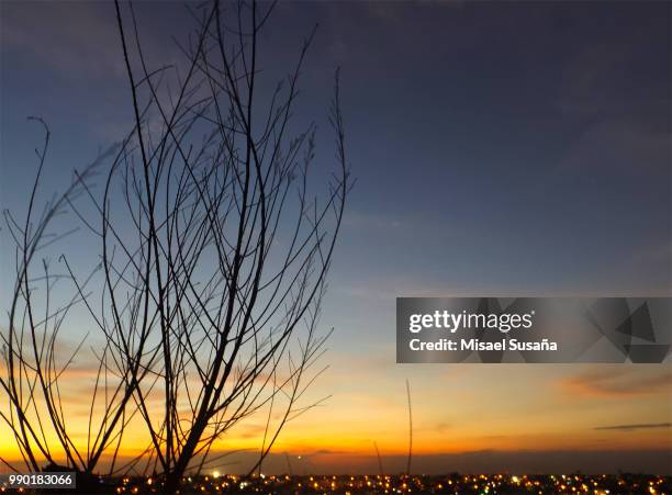 cielo desierto - desierto stock pictures, royalty-free photos & images