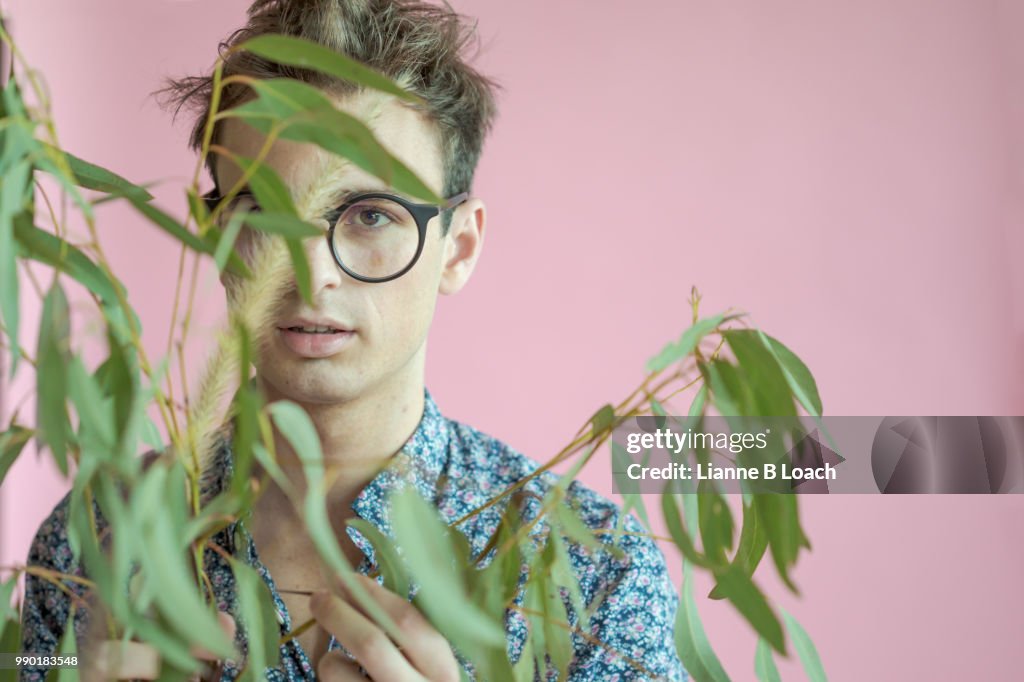 Eucalyptus 1