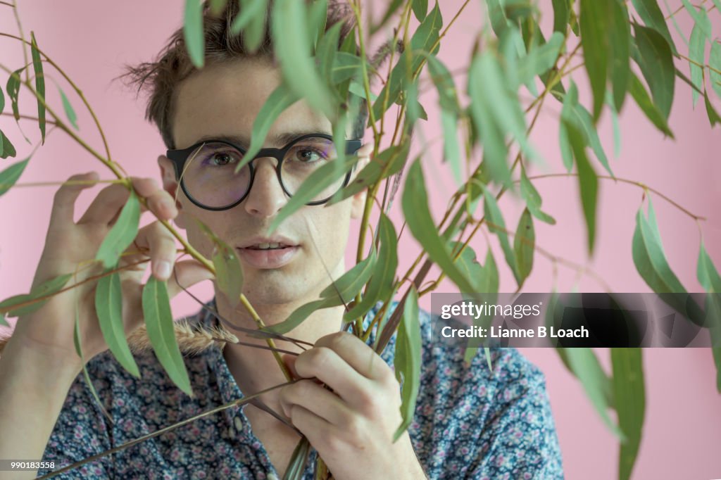 Eucalyptus 4