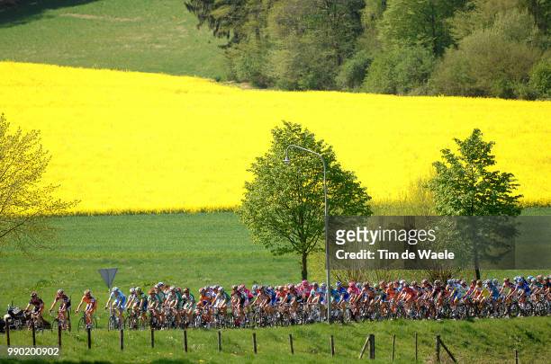 Amstel Gold Race Illustration Illustratie, Flowers Fleurs Bloemen, Peleton Peloton, Landscape Paysage Landschap, Maastricht - Valkenburg Uci Pro...
