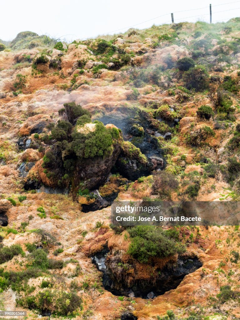 Volcanic fumaroles with holes between the rocks issuing gases, surrounded with mosses and plants. Terceira Island in the Azores islands, Portugal.