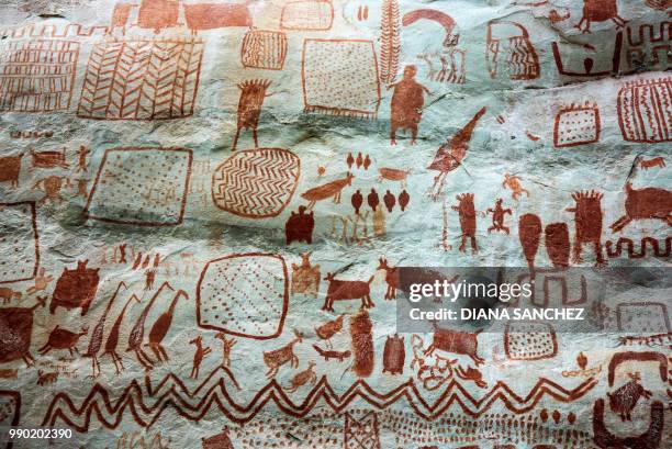 Detail of cave art at the Cerro Azul, in Serrania La Lindosa -which had been declared Protected Archaeological Site of Colombia last May-in the...