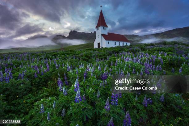 the church of vik surrounded by lupins, iceland. - south central iceland stock pictures, royalty-free photos & images