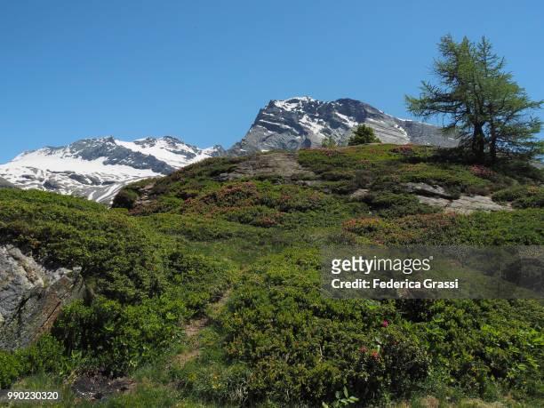 view of monte leone, breithorn and hübschhorn from simplon pass - leone stock-fotos und bilder