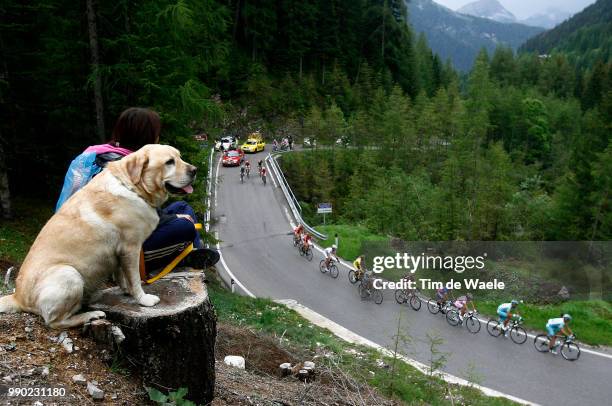 Giro D'Italia, Stage 15Di Luca Danilo Pink Jersey, Schleck Andy , Cunego Damiano , Mazzoleni Eddy , Simoni Gilberto , Sella Emanuele Illustration...