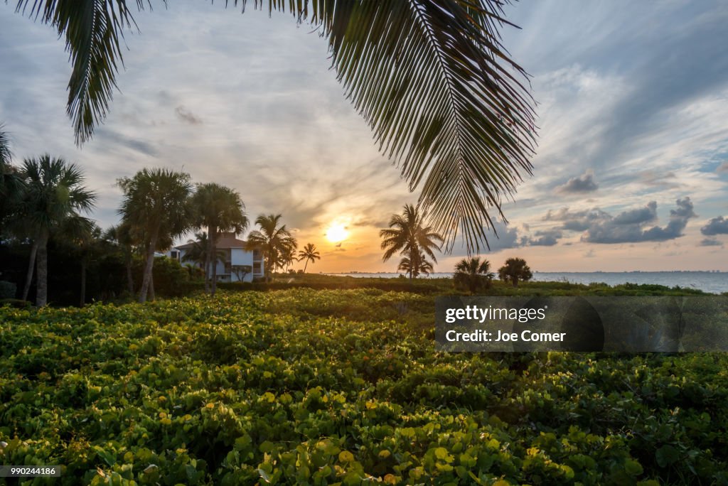 Sanibel Sunrise