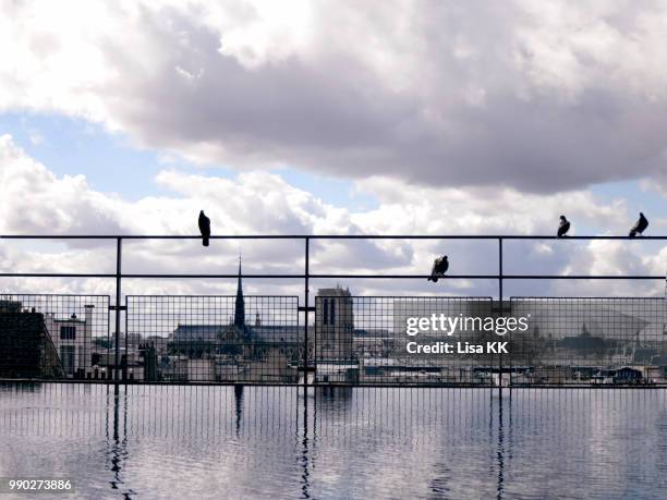 parisvibes - wire mesh fence stock-fotos und bilder