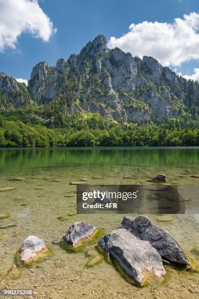 the beautiful laudachsee with mountain katzenstein, austrian alps, austria - vocklabruck stock pictures, royalty-free photos & images