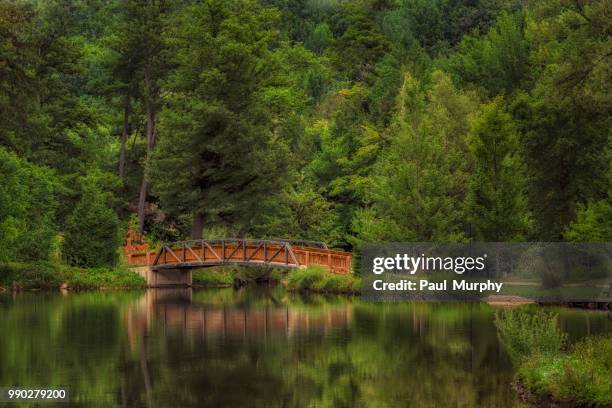 harrison park footbridge - harrison wood stock pictures, royalty-free photos & images