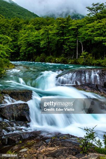 waterfall near lago del desierto, patagonia - desierto 個照片及圖片檔