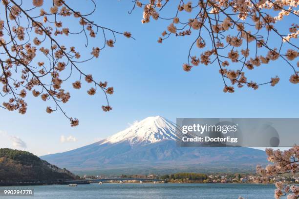 mount fuji and sakura branches in cherry blossom spring season at kawaguchiko lake, japan - doctoregg stock pictures, royalty-free photos & images