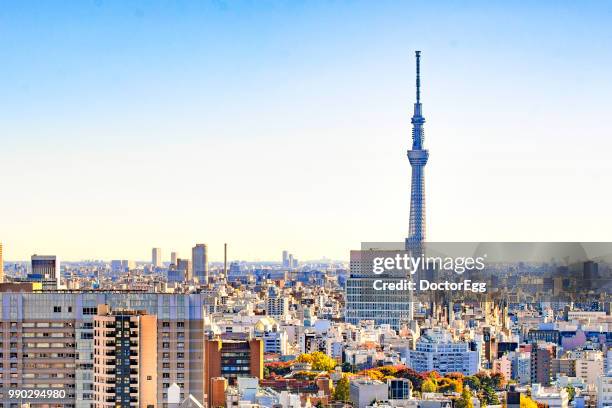 tokyo sky tree and tokyo city background in blue sky day - doctoregg stock pictures, royalty-free photos & images