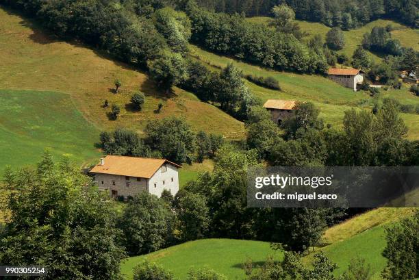 en las faldas del balerdi - seco stockfoto's en -beelden