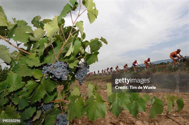 Tour Of Spain, Stage 12Illustration Illustratie, Peleton Peloton, Grapes Wine Yards Vignobles Resain Druiven Wijngaard, Team Rabobank, Landscape...