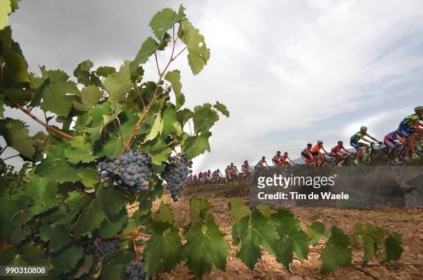 Tour Of Spain, Stage 12Illustration Illustratie, Peleton Peloton, Grapes Wine Yards Vignobles Resain Druiven Wijngaard, Landscape Paysage Landschap...