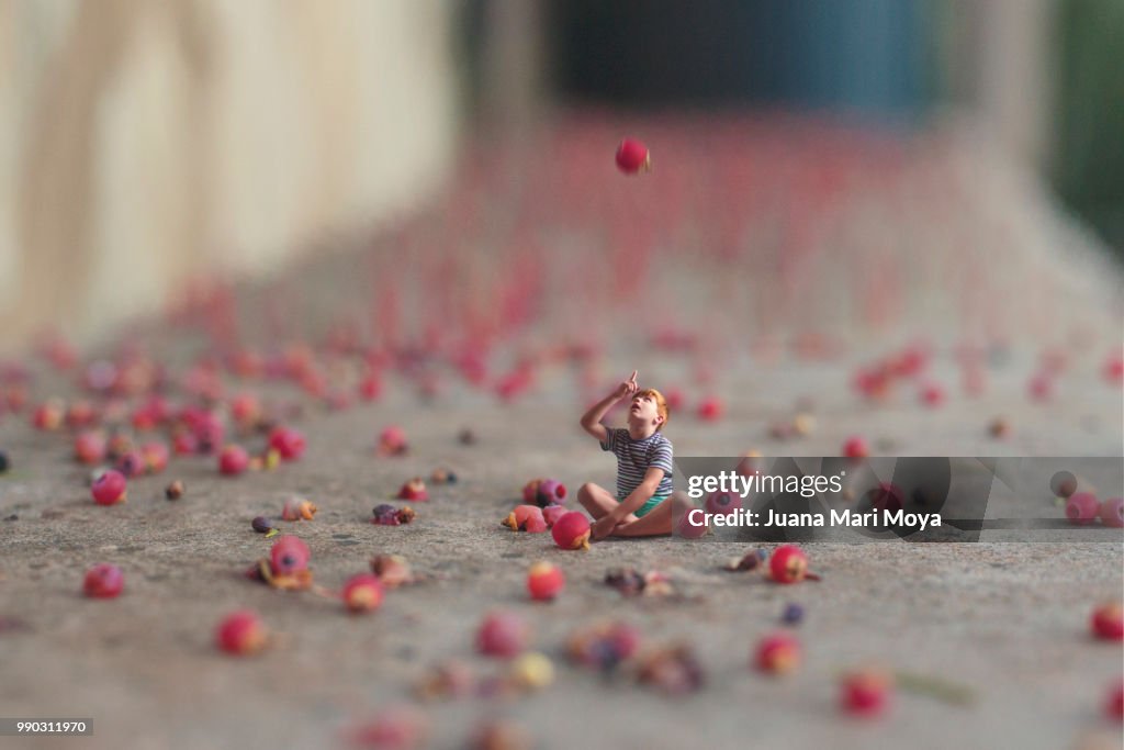 A miniature boy watches giant seeds fall from a plant