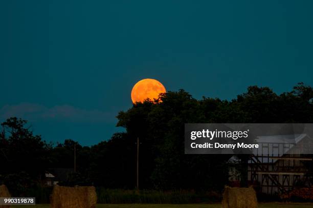 blue moon rising - blue moon imagens e fotografias de stock