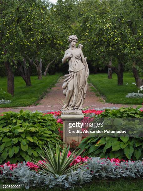 entrance into apple garden - alexander garden stock pictures, royalty-free photos & images