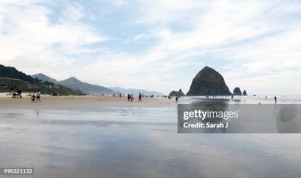 cannon beach - sarah sands stock pictures, royalty-free photos & images