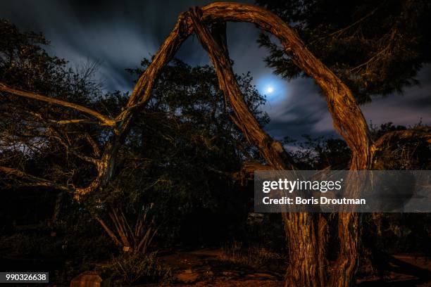 the blue moon - blue moon stock pictures, royalty-free photos & images