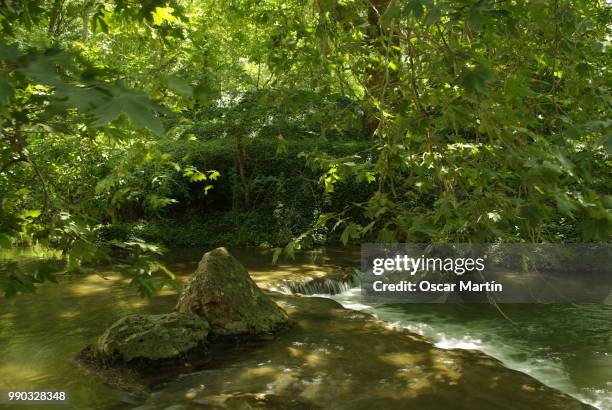 paraiso naturaleza - naturaleza - fotografias e filmes do acervo