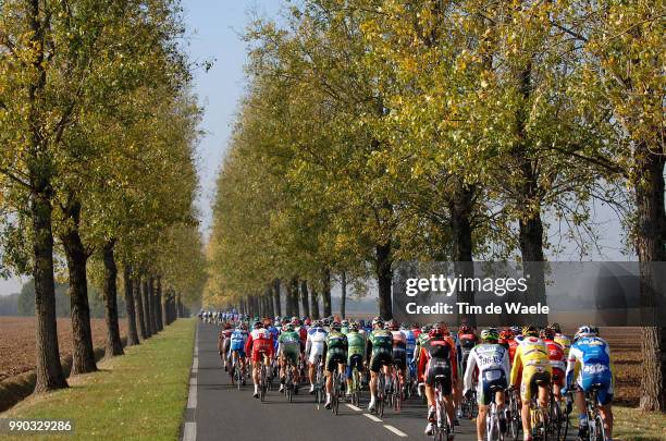 Paris - Tours Illustration Illustratie, Peleton Peloton, Forest Bois Bos, Autume Herfst, Landscape Paysage Landschap, Saint-Arnoult-En-Yvelines -...