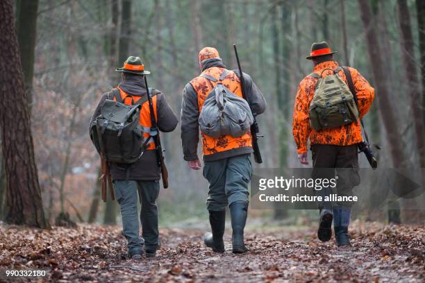 Hunters with guns walk across the forest during a driven hunt near the motorway A2 in Bielefeld, Germany, 09 January 2018. Some 100 hunters from...