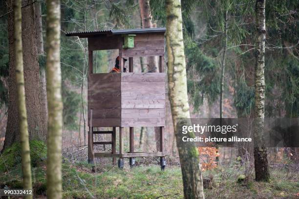 Hunter sits on a perch during a driven hunt across a forest near the motorway A2 in Bielefeld, Germany, 09 January 2018. Some 100 hunters from eight...