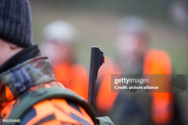 Hunter carries a gun during a driven hunt across a forest near the motorway A2 in Bielefeld, Germany, 09 January 2018. Some 100 hunters from eight...