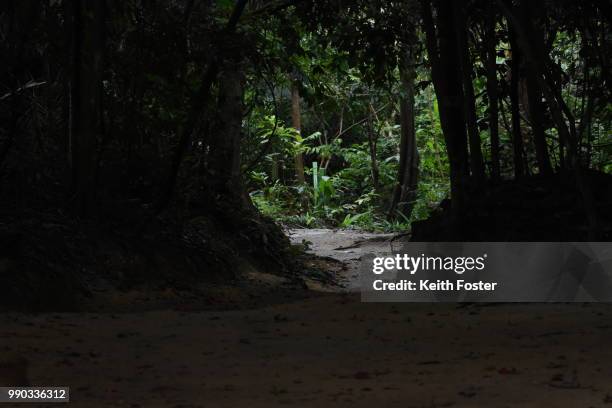 Secret Path Photos and Premium High Res Pictures - Getty Images