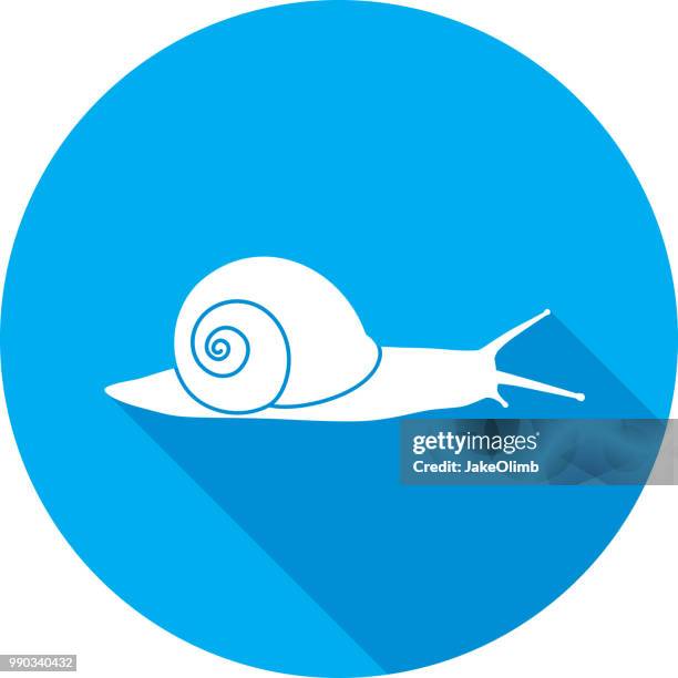 ilustraciones, imágenes clip art, dibujos animados e iconos de stock de silueta del icono de caracol - snail shell icon