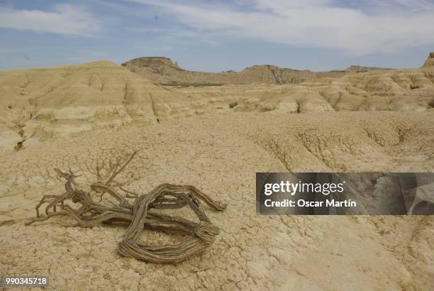 desierto bárdenas reales, navarra - desierto 個照片及圖片檔