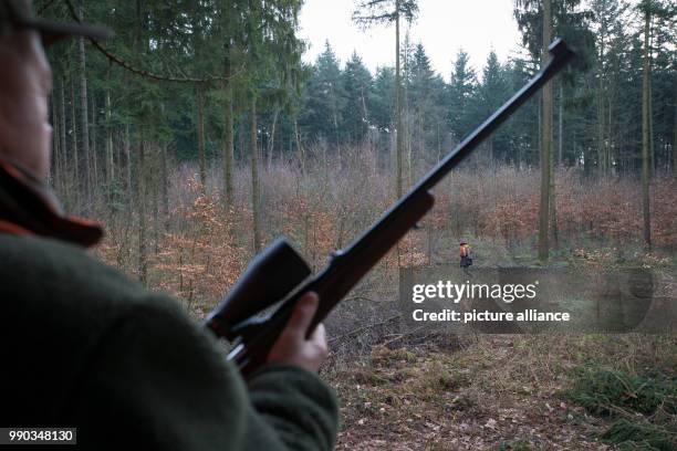 Hunter carries a gun while sitting on a perch during a driven hunt across a forest near the motorway A2 in Bielefeld, Germany, 09 January 2018. In...