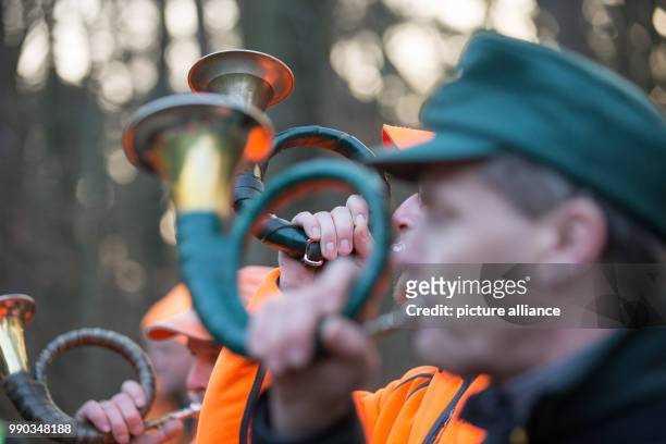 Hunters blow the hunting horn at the beginning of a driven hunt across a forest near the motorway A2 in Bielefeld, Germany, 09 January 2018. In order...