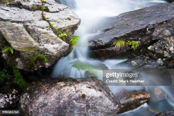 stream rocks - heather brooke stock pictures, royalty-free photos & images