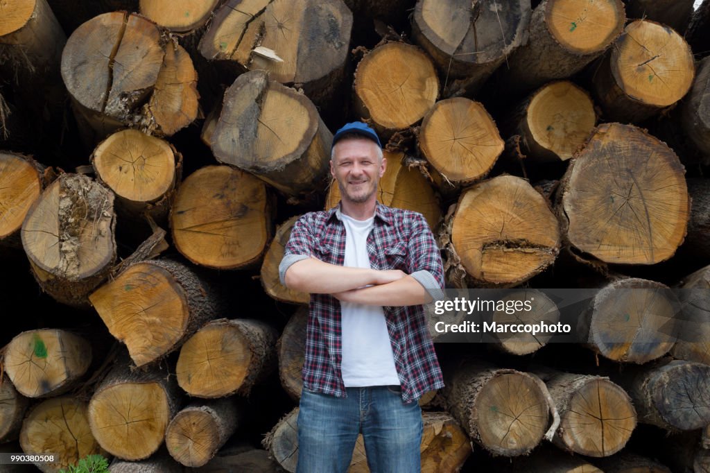 Adult satisfied lumberjack standing in front of large pile of timber