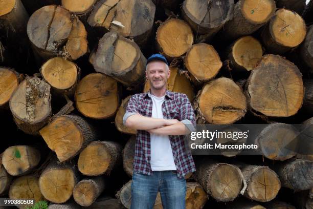 adult satisfied lumberjack standing in front of large pile of timber - flannel shirt stock pictures, royalty-free photos & images