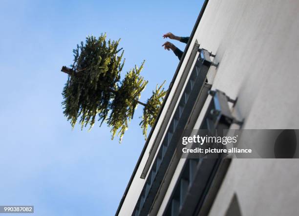 877 Discarding Stock Photos, High-Res Pictures, and Images - Getty Images