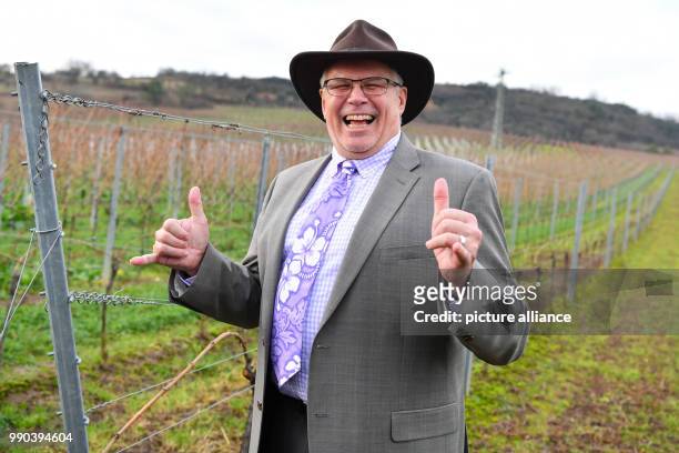 James W. Herman, United States' General Consul in Frankfurt stands in front of a vineyard in Kallstadt, Germany, 11 January 2018. The purpose of his...
