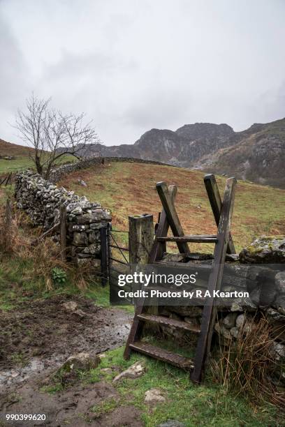 wooden stile in the hills near llyn crafnant, snowdonia, north wales - stye stock pictures, royalty-free photos & images