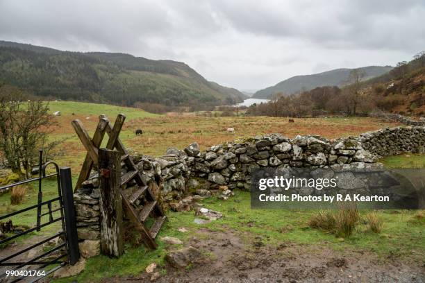 wooden stile in the hills near llyn crafnant, snowdonia, north wales - stye stock pictures, royalty-free photos & images