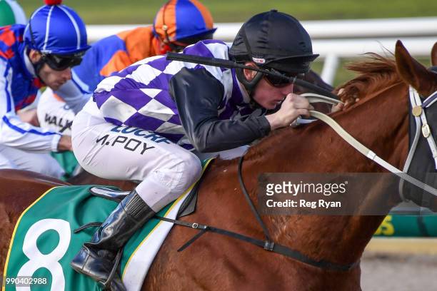 Lycka Till ridden by Michael Poy wins the Ritchie Bros Autioneers Winter Synthetic Sprint Series Heat 2 at Geelong Synthetic Racecourse on July 03,...